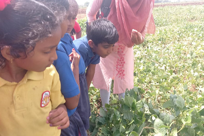 World Environment Day 2023